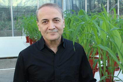 İsmail Çakmak