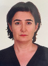 Ayşe Hazar Koksal Bingol