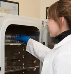 A woman in a lab coat is seen putting a petri dish in a laboratory oven.