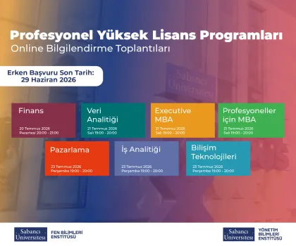 profesyonel yüksek lisans