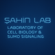 sahinlab
