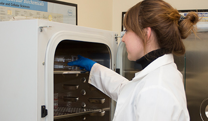 A woman in a lab coat is seen putting a petri dish in a laboratory oven.
